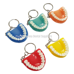 Unique Dental Teeth Jaw Keychain