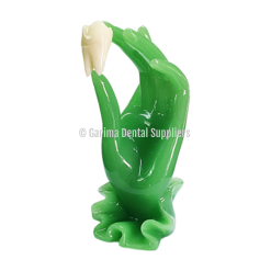 Unique Dental - Tooth & Hand Scupltor