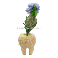 Unique Dental Sculpture - Plant Holder