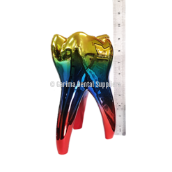 Unique Dental - Tooth Model Big