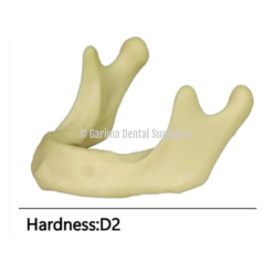 JM Implant Practice Mandible Jaw Model
