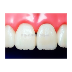 Sound Teeth  #21