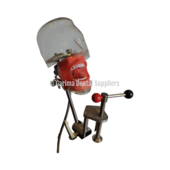 JM Educational Phantom Head Transparent