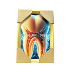 Unique Dental - Painting Embossed